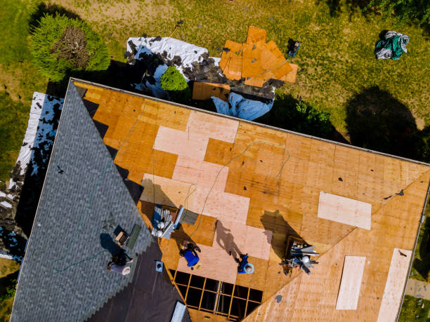 Best Flat Roof Repair Services  in Decatur, MI