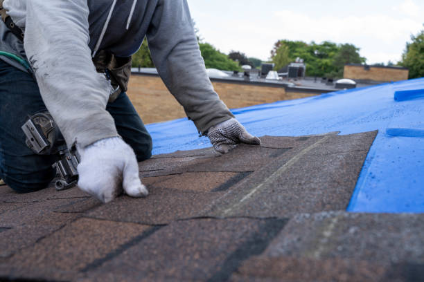 Gutter Installation and Roofing in Decatur, MI