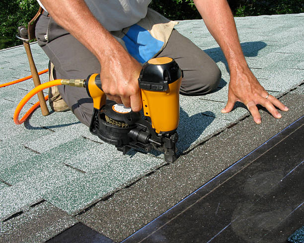 Best Roof Gutter Cleaning  in Decatur, MI