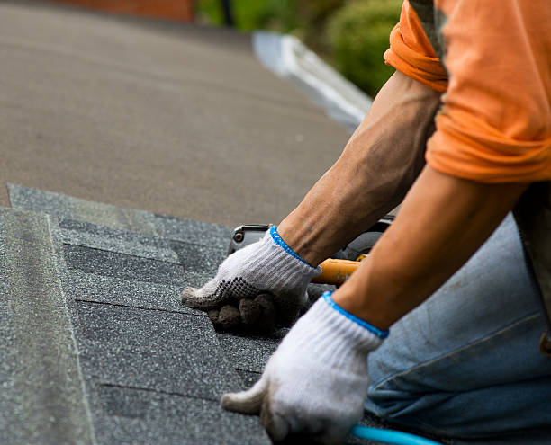 Best Shingle Roofing Installation  in Decatur, MI