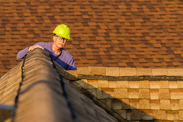 Best Roof Waterproofing Services  in Decatur, MI
