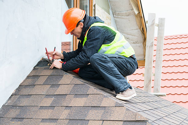 Best Roof Repair Services  in Decatur, MI