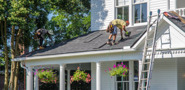 Best Storm Damage Roof Repair  in Decatur, MI